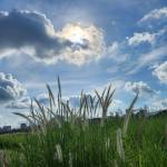 花间尤醉叶亦死 Uncle